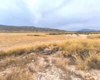 Herverkoop - Country house - Jumilla - Jumilla Centro