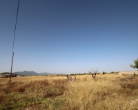 Herverkoop - Country house - Jumilla - Torre Del Rico