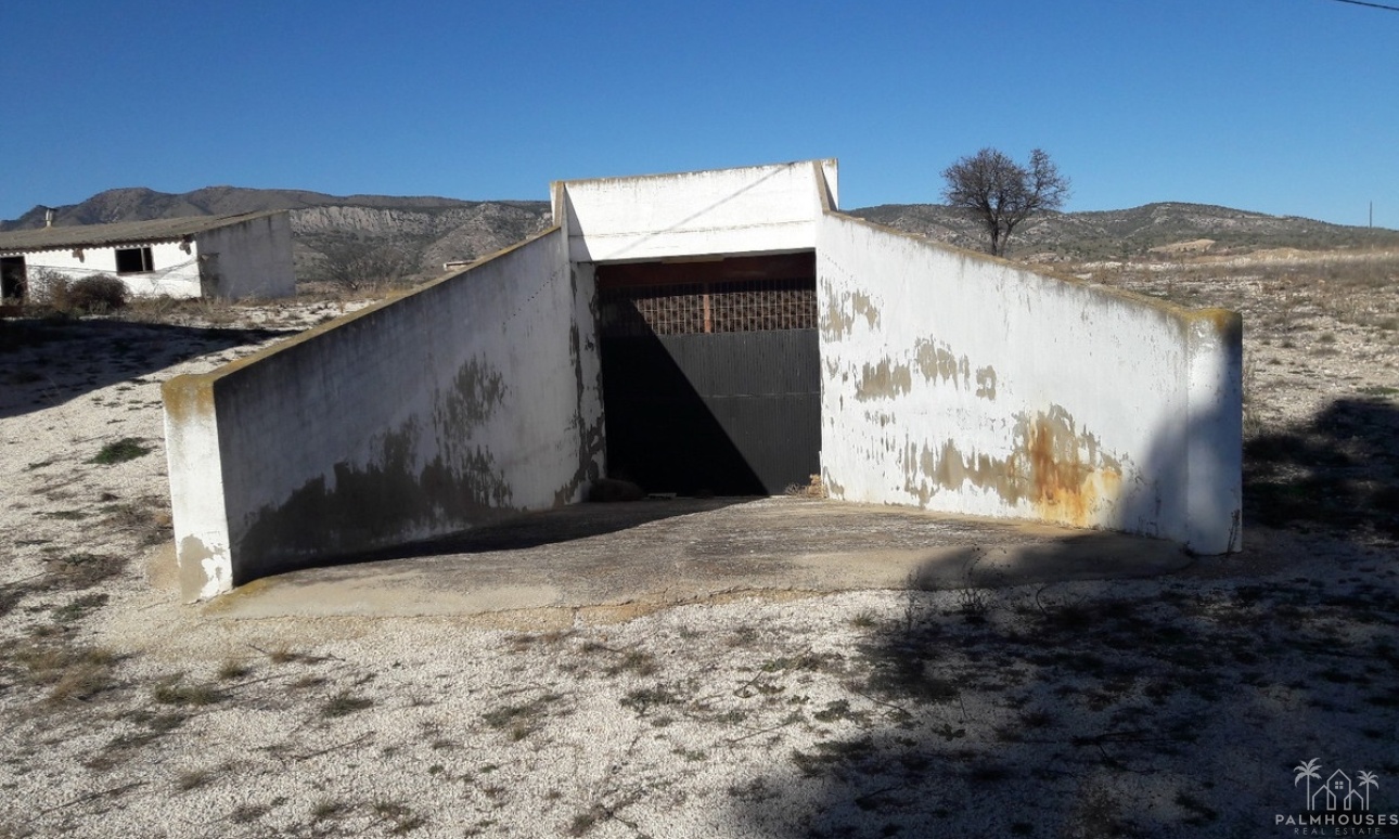 Herverkoop - Country house - Jumilla - Torre Del Rico