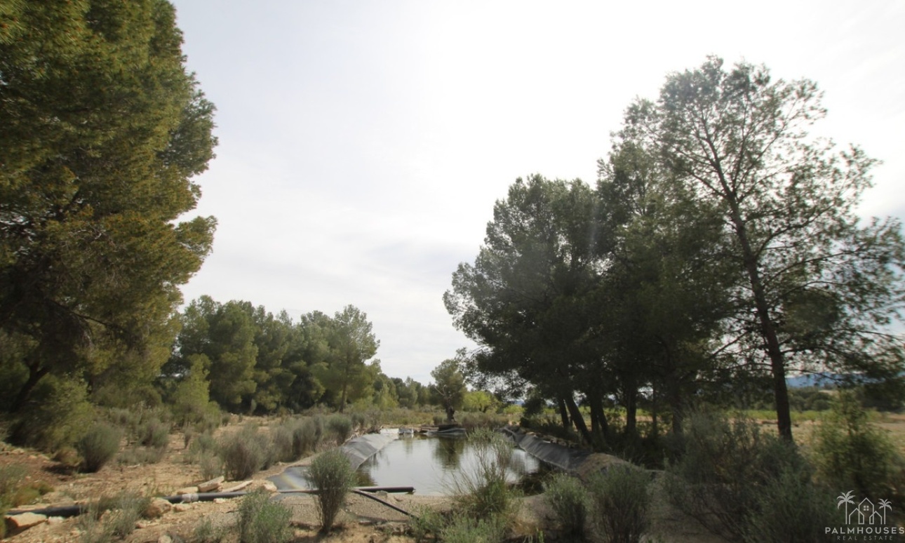 Herverkoop - Country house - Monóvar - Monòver - Monóvar - Monòver Centro