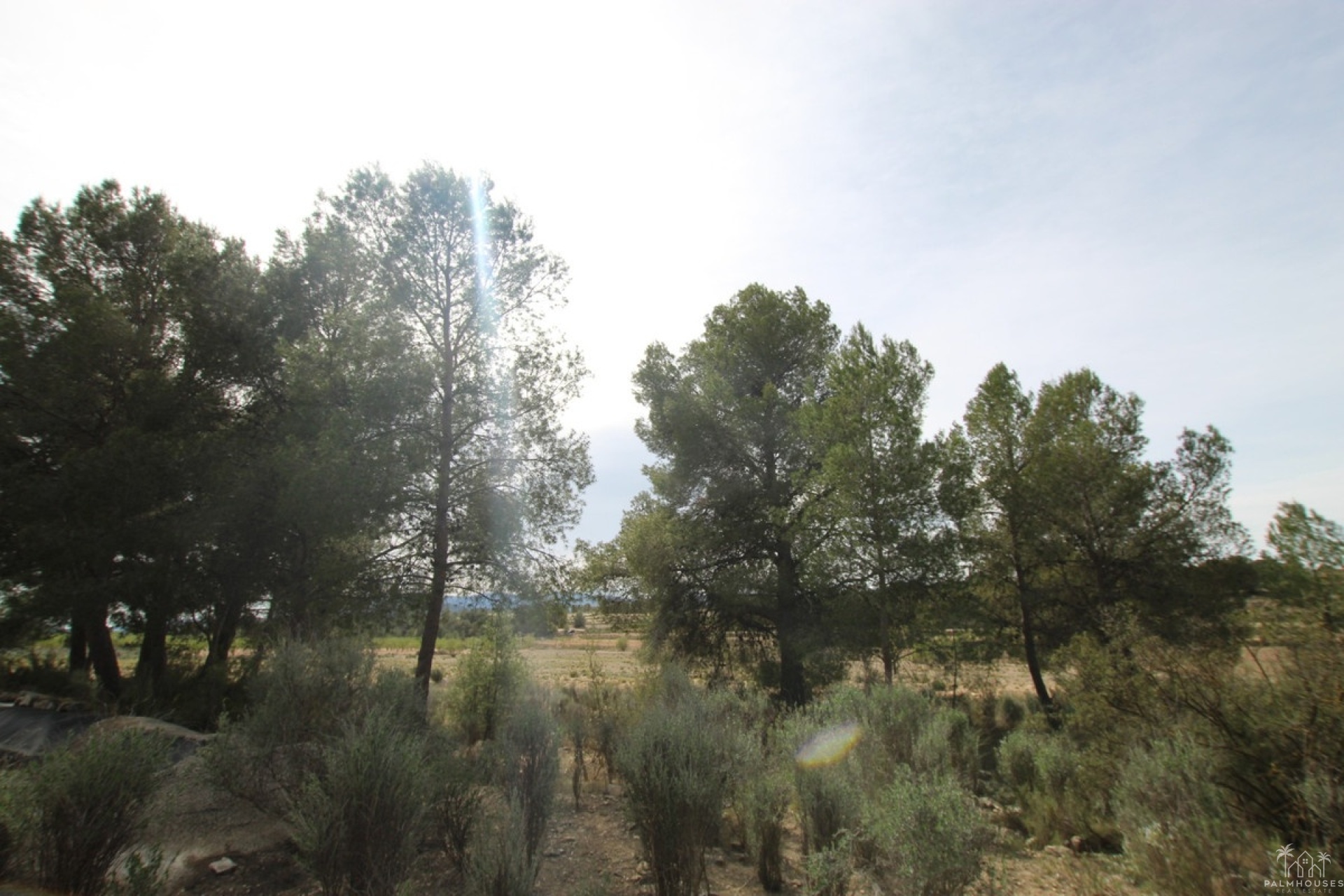 Herverkoop - Country house - Monóvar - Monòver - Monóvar - Monòver Centro
