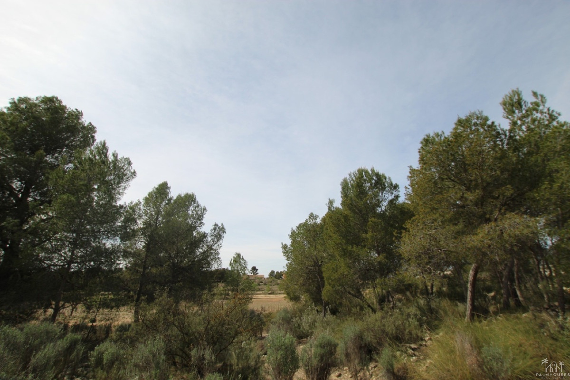 Herverkoop - Country house - Monóvar - Monòver - Monóvar - Monòver Centro