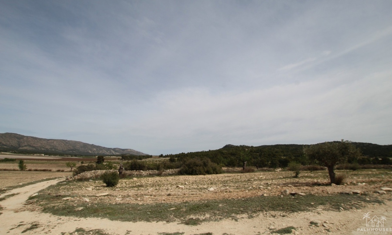Herverkoop - Country house - Monóvar - Monòver - Monóvar - Monòver Centro