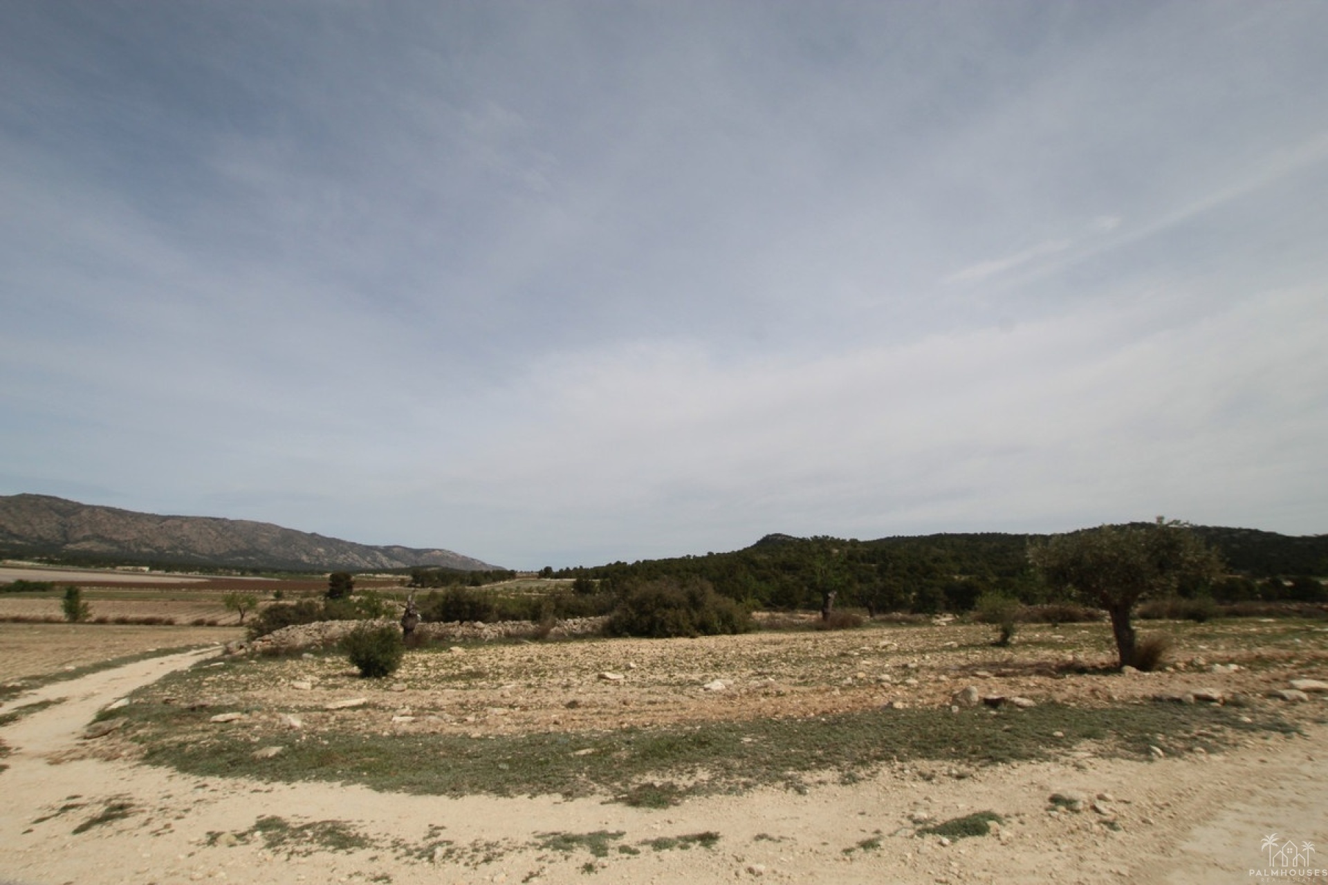 Herverkoop - Country house - Monóvar - Monòver - Monóvar - Monòver Centro