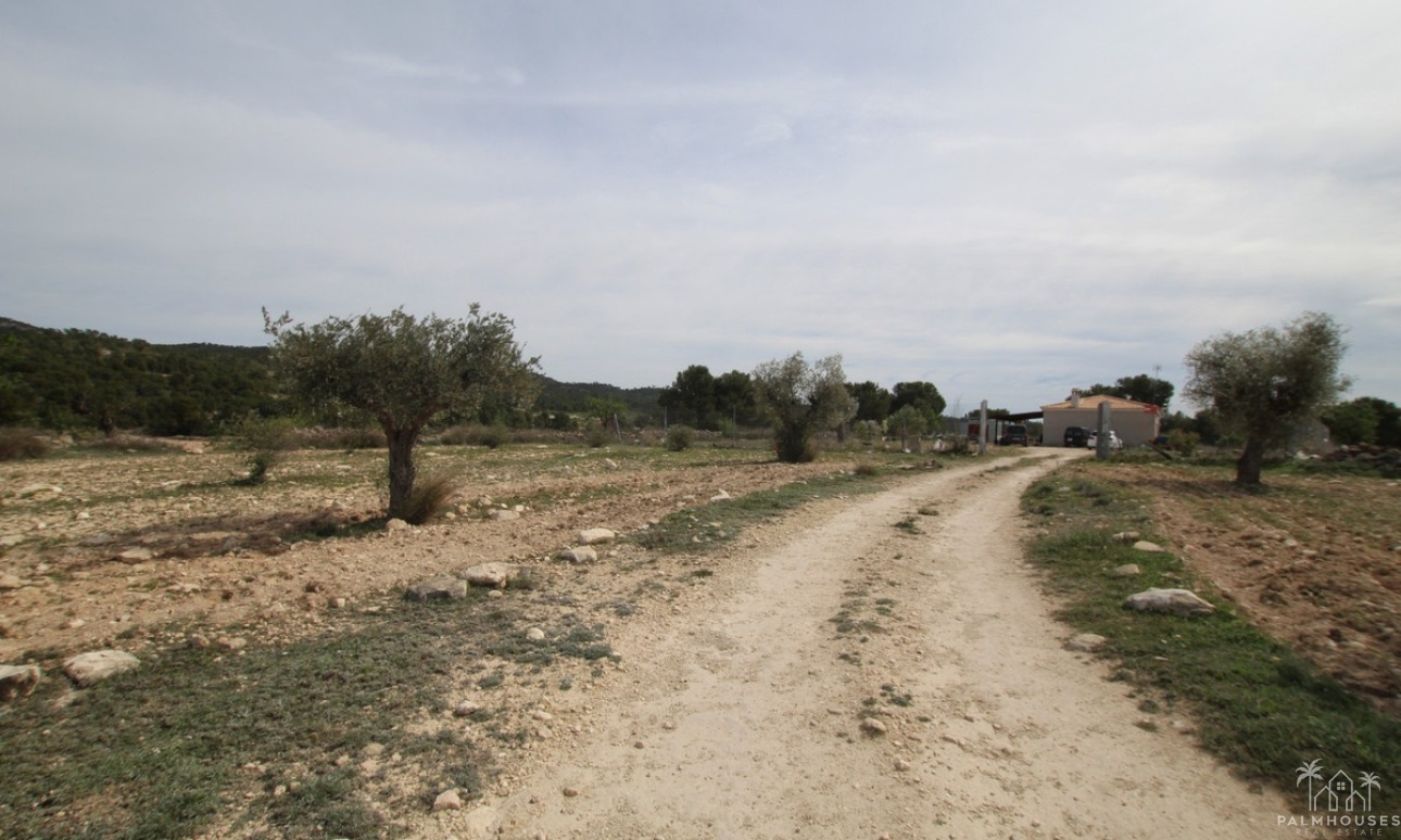 Herverkoop - Country house - Monóvar - Monòver - Monóvar - Monòver Centro