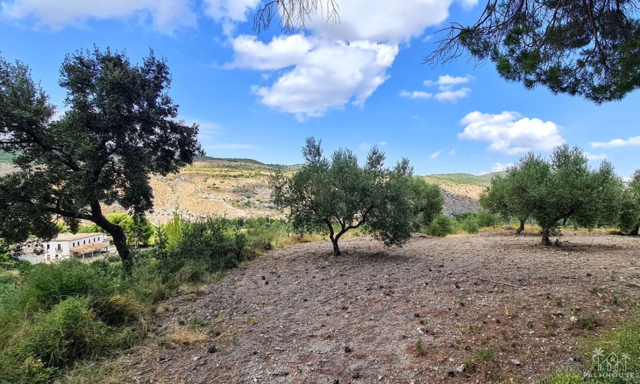 Herverkoop - Country house - Muro de Alcoy - Muro de Alcoy Centro