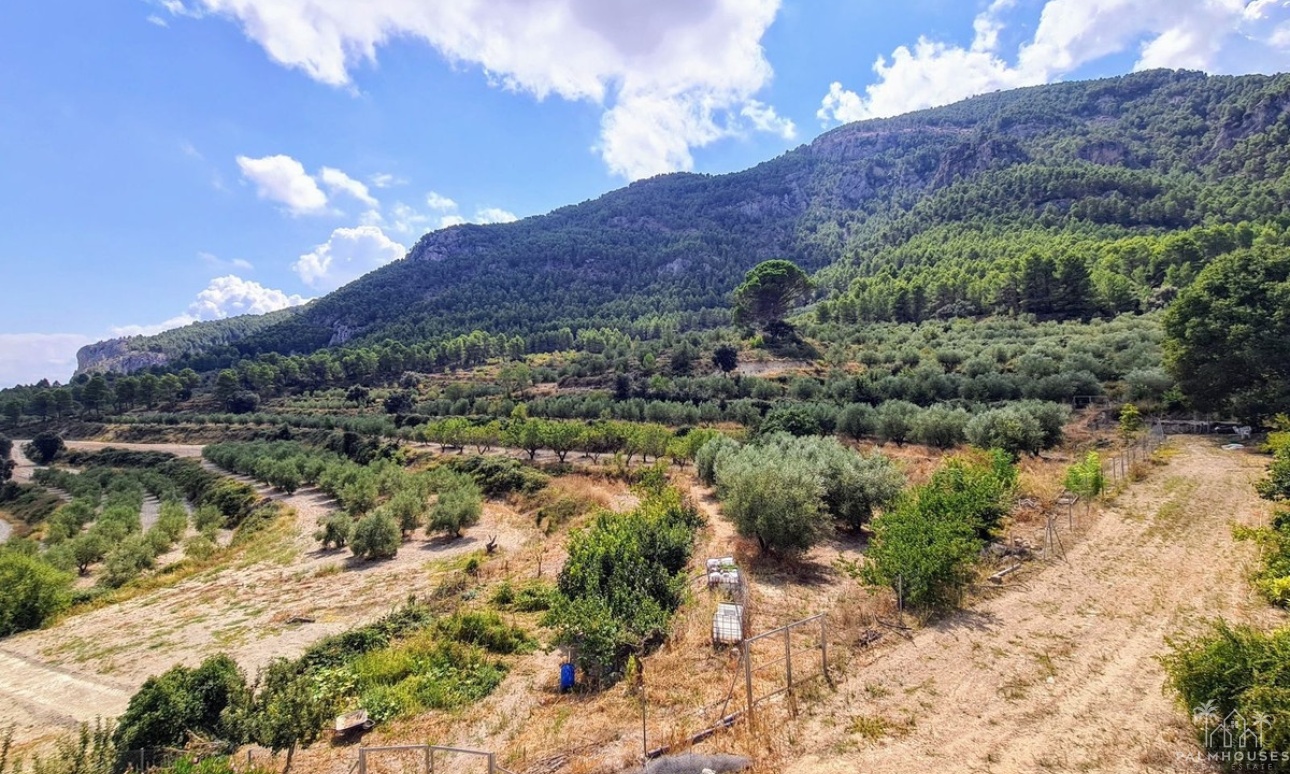 Herverkoop - Country house - Muro de Alcoy - Muro de Alcoy Centro