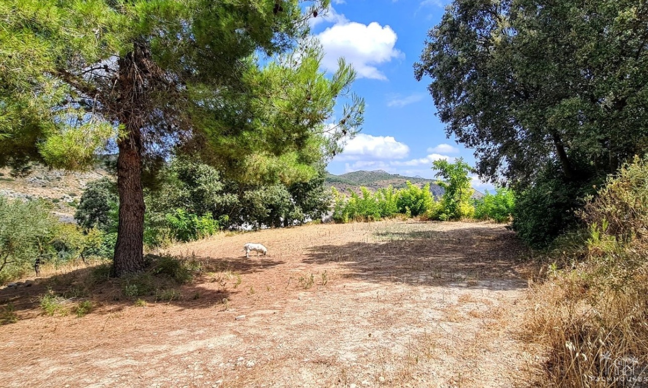 Herverkoop - Country house - Muro de Alcoy - Muro de Alcoy Centro