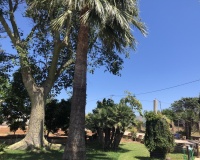 Herverkoop - Country house - Ondara - Ondara Centro