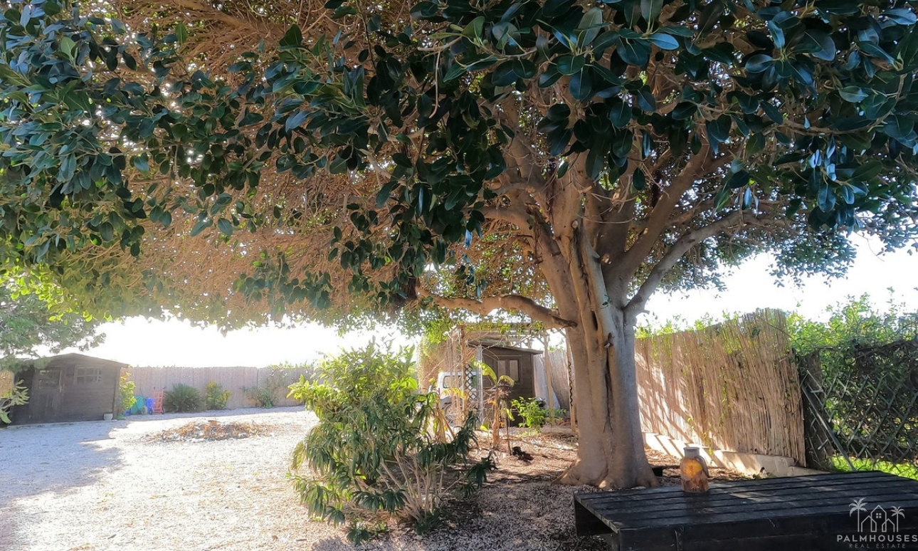Herverkoop - Country house - Orihuela - Orihuela Centro