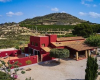 Herverkoop - Country house - Orihuela - Torremendo