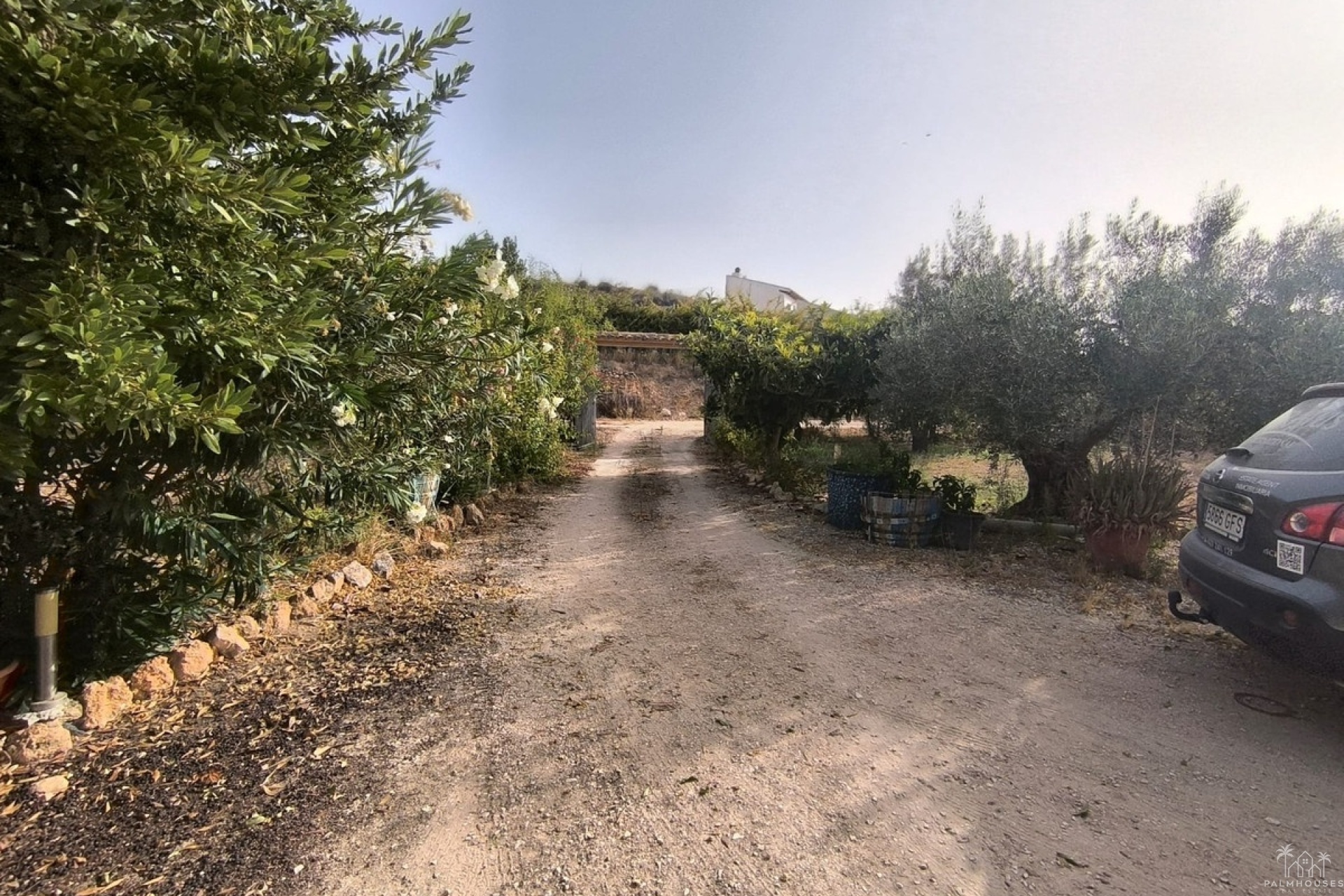 Herverkoop - Country house - Pinoso - Pinoso Centro