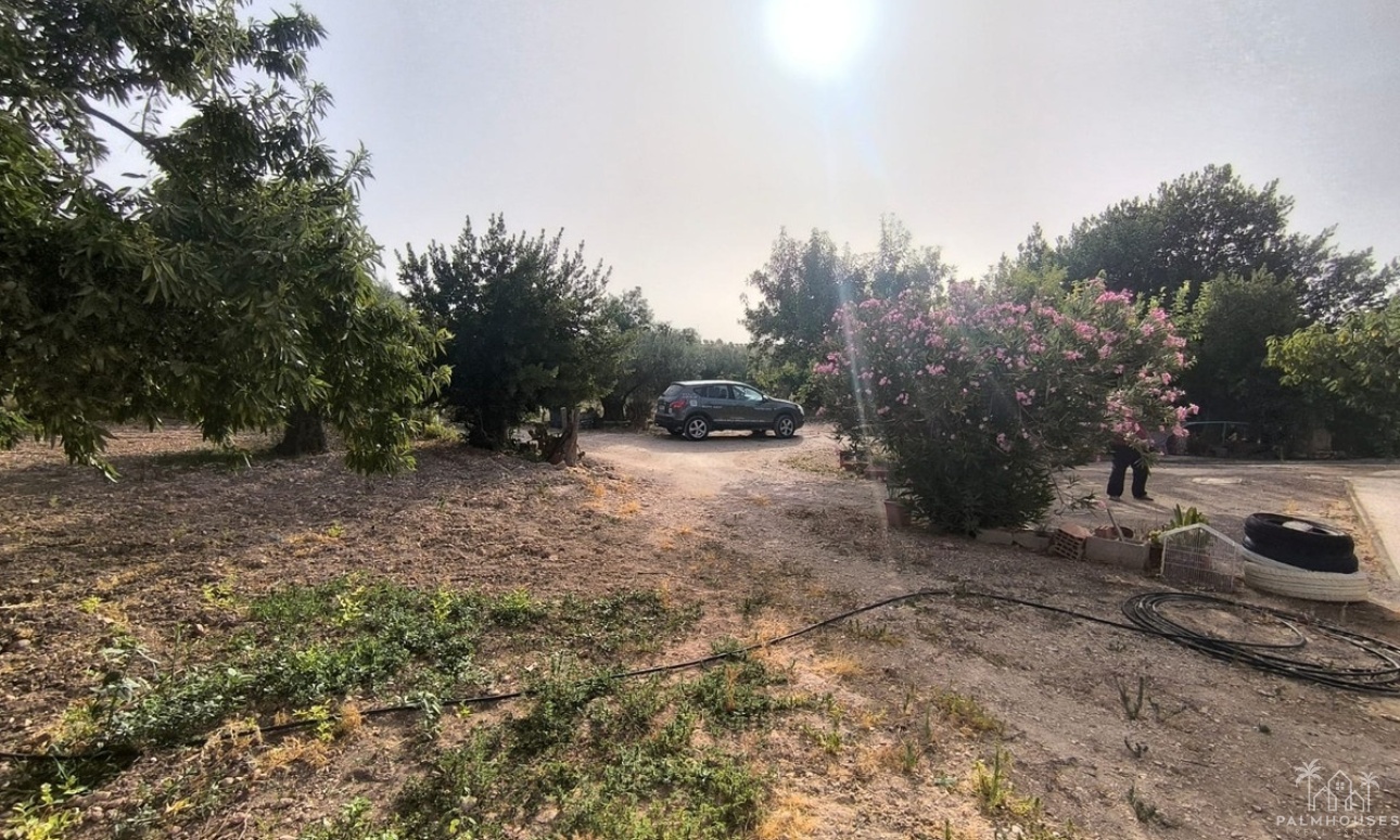 Herverkoop - Country house - Pinoso - Pinoso Centro