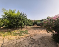Herverkoop - Country house - Pinoso - Pinoso Centro