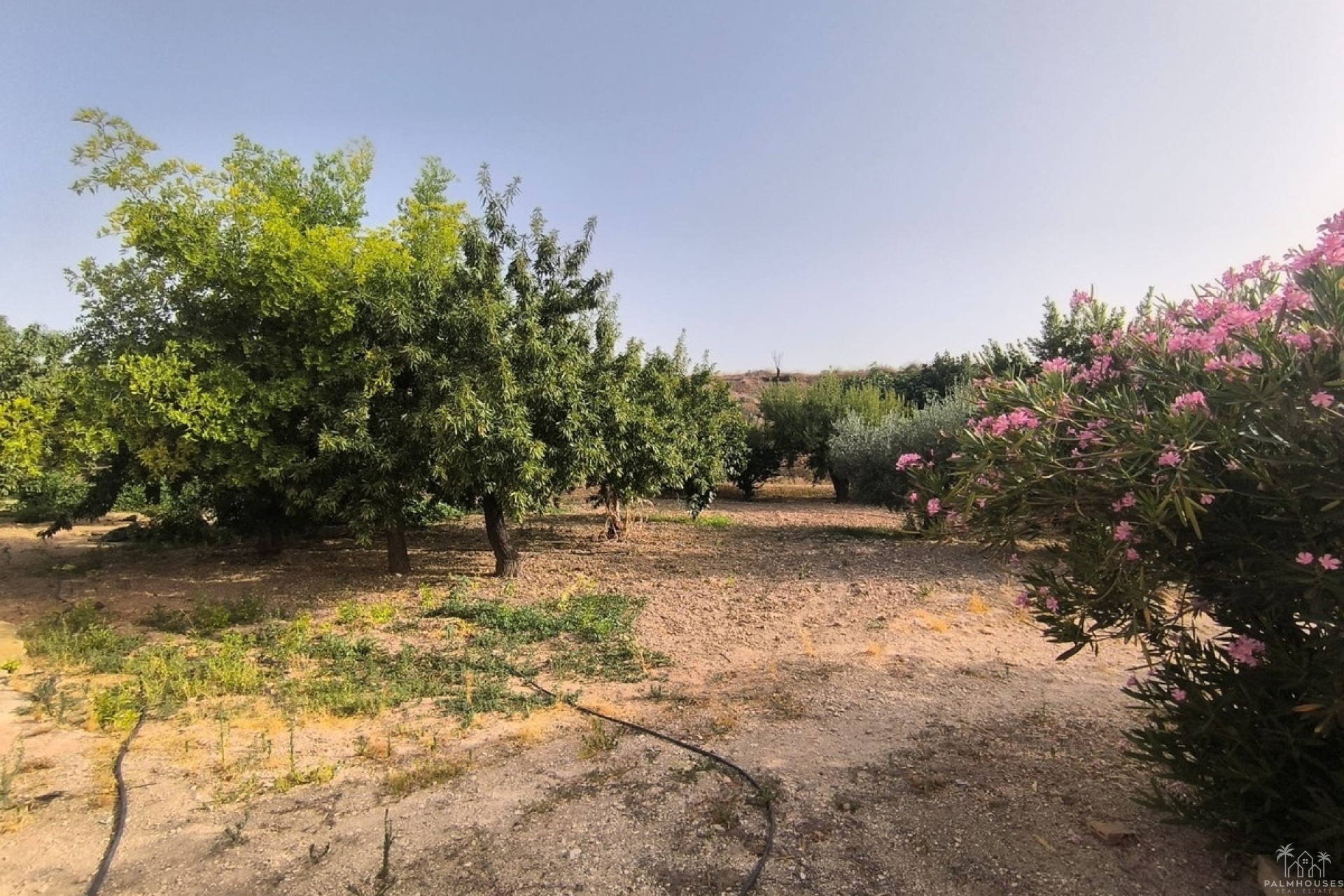Herverkoop - Country house - Pinoso - Pinoso Centro