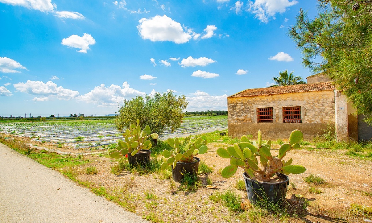 Herverkoop - Country house - San Isidro - San Isidro Centro