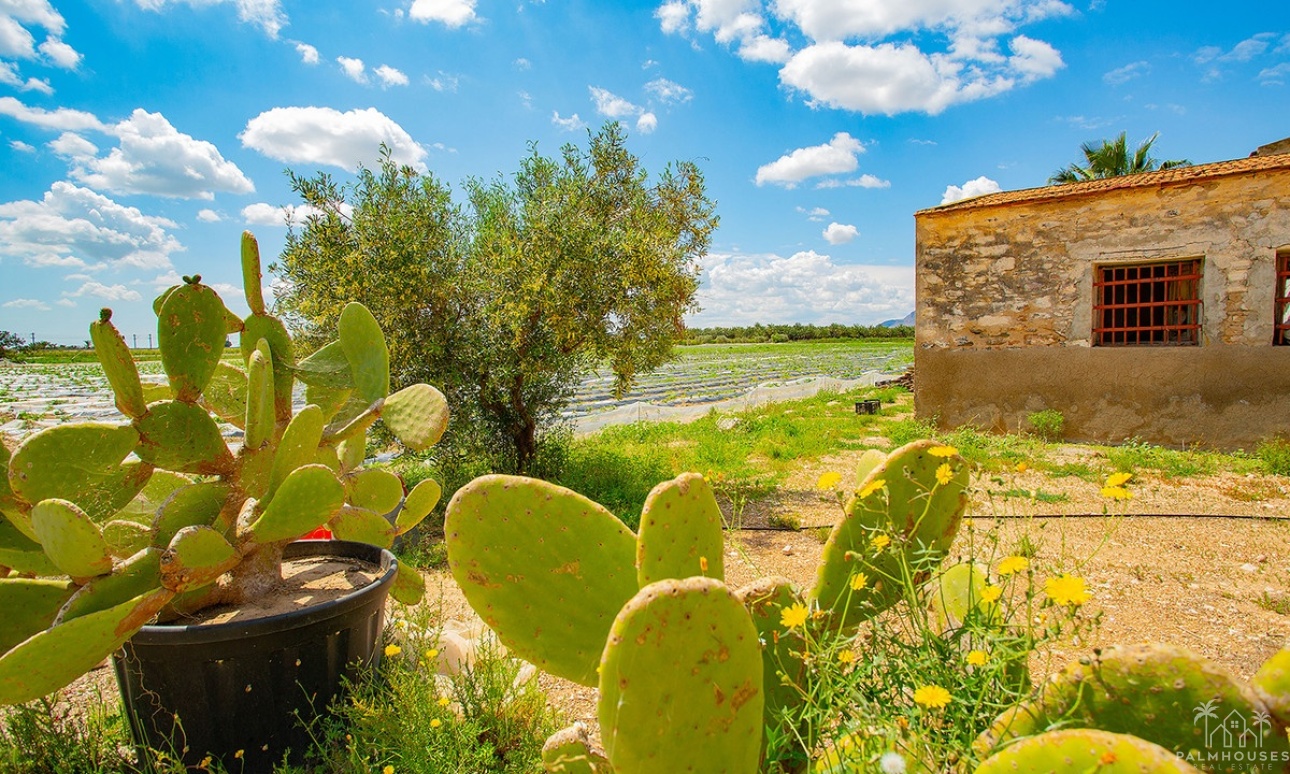 Herverkoop - Country house - San Isidro - San Isidro Centro