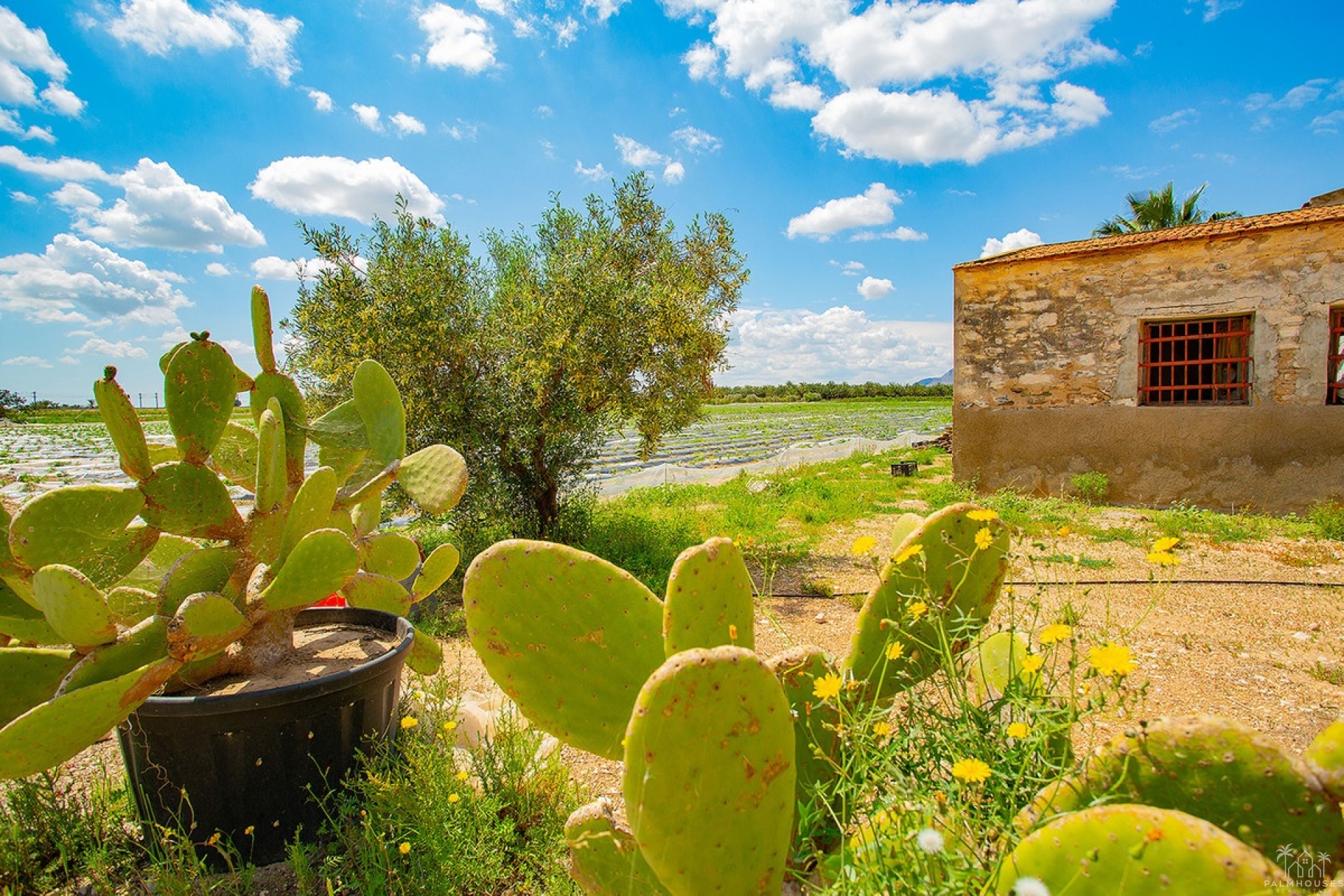 Herverkoop - Country house - San Isidro - San Isidro Centro