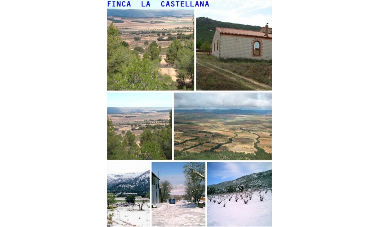 Herverkoop - Country house - Villena - La Zafra