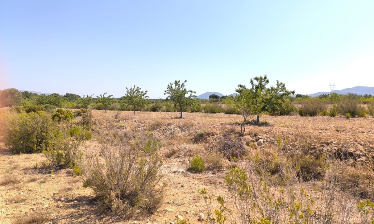 Herverkoop - Country house - Villena - Villena Centro