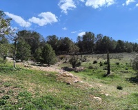 Herverkoop - Country house - Villena - Villena Centro