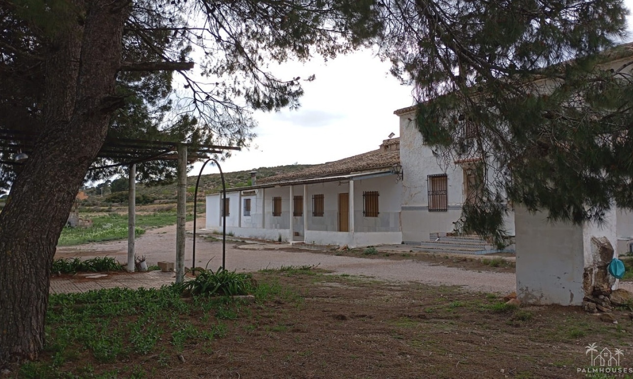 Herverkoop - Country house - Yecla - Yecla Centro