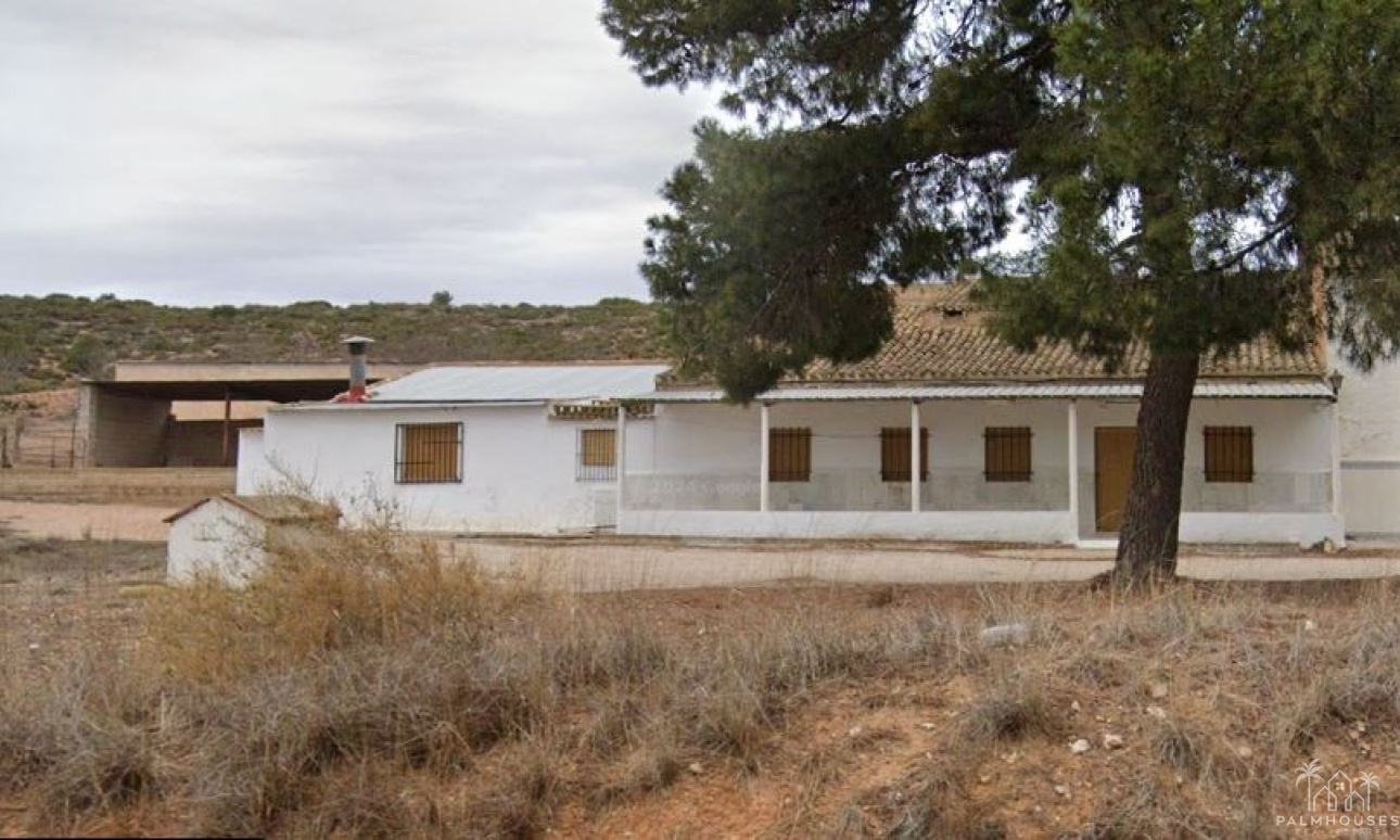 Herverkoop - Country house - Yecla - Yecla Centro