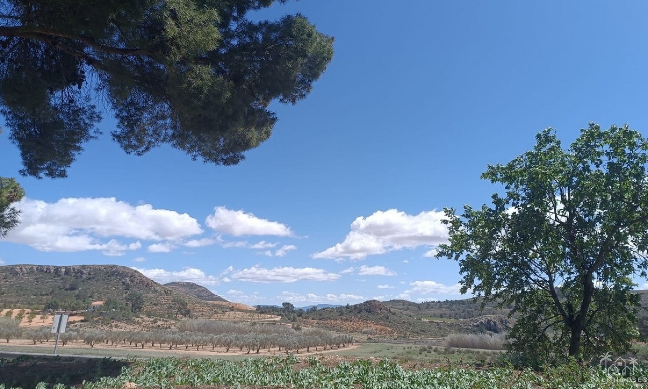 Herverkoop - Country house - Yecla - Yecla Centro