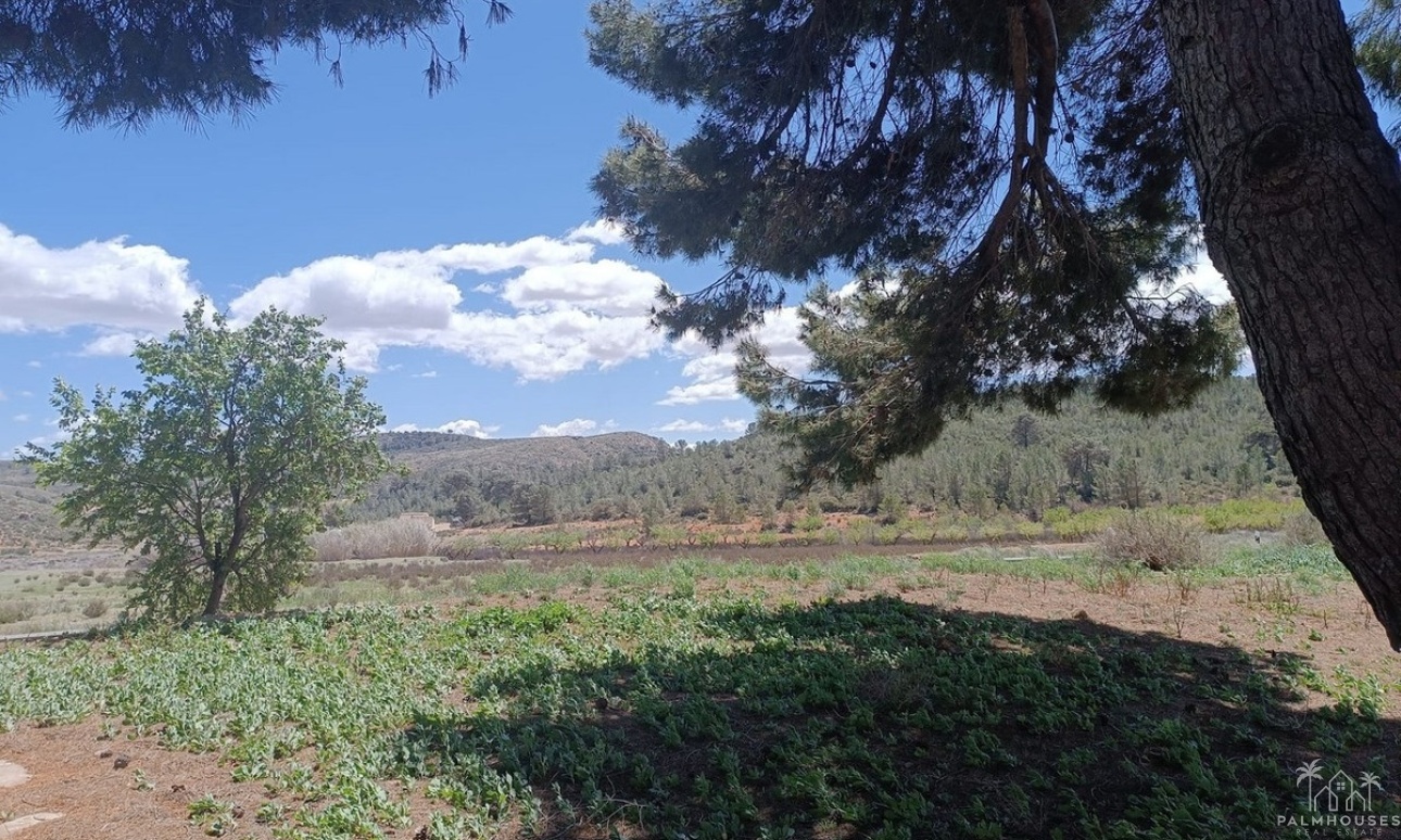 Herverkoop - Country house - Yecla - Yecla Centro