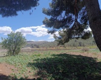 Herverkoop - Country house - Yecla - Yecla Centro