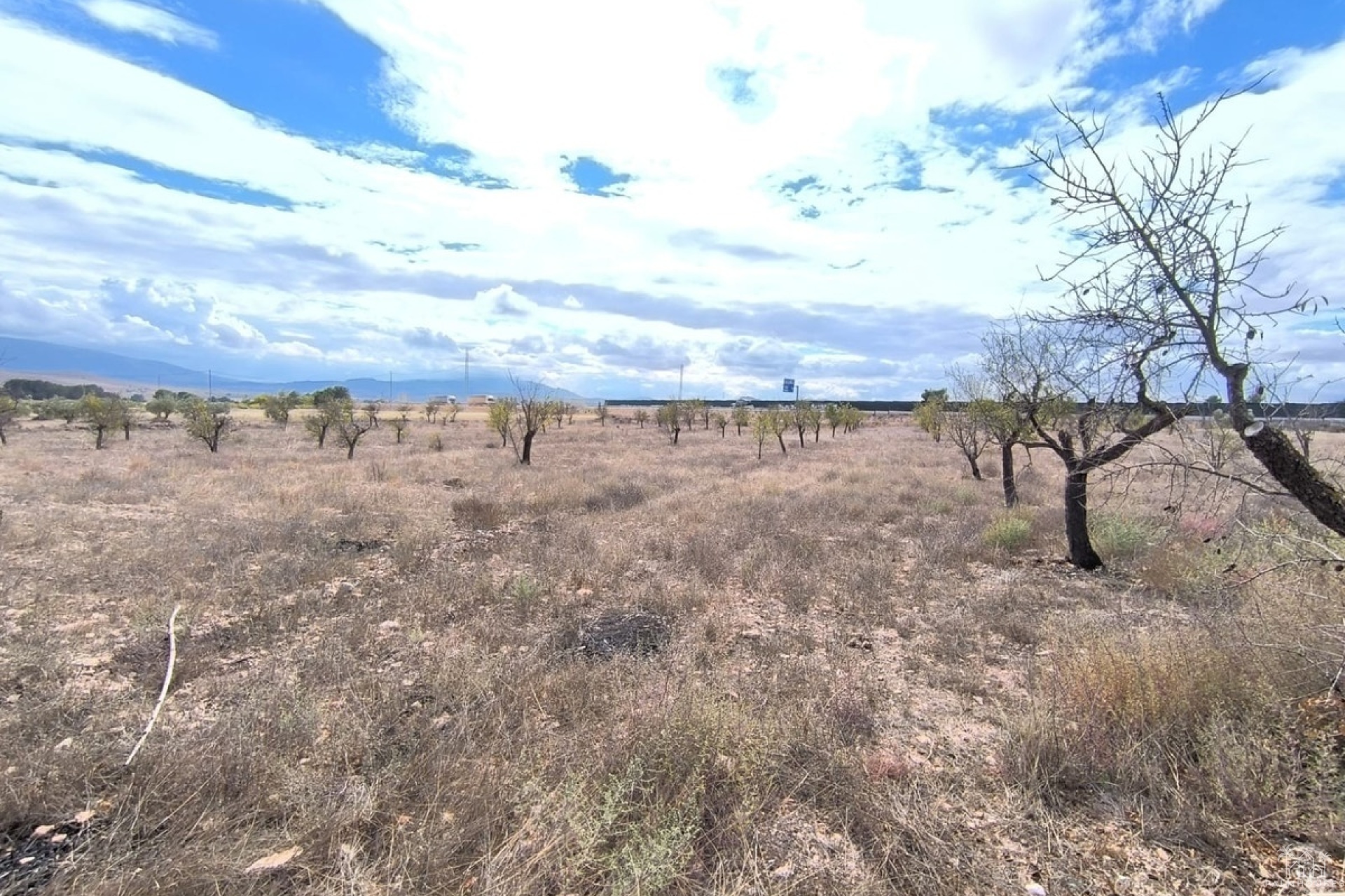 Herverkoop - Country house - Yecla - Yecla Centro