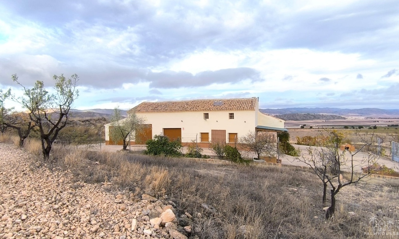 Herverkoop - Country house - Yecla - Yecla Centro