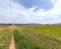 Herverkoop - Country house - Yecla - Yecla Centro