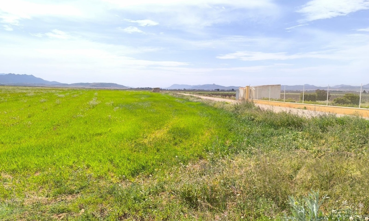 Herverkoop - Country house - Yecla - Yecla Centro