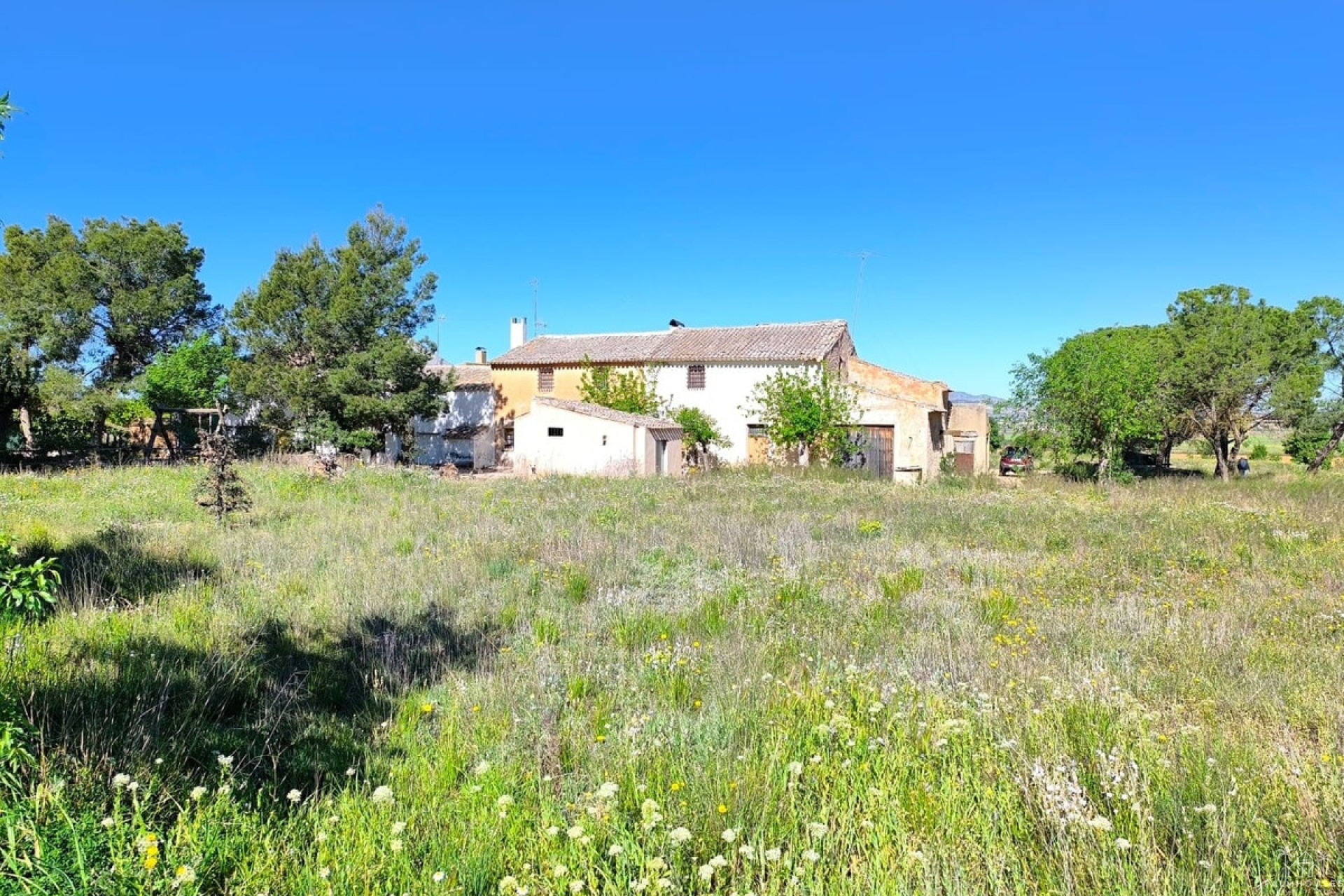 Herverkoop - Country house - Yecla - Yecla Centro
