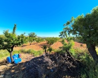 Herverkoop - Country house - Yecla - Yecla Centro