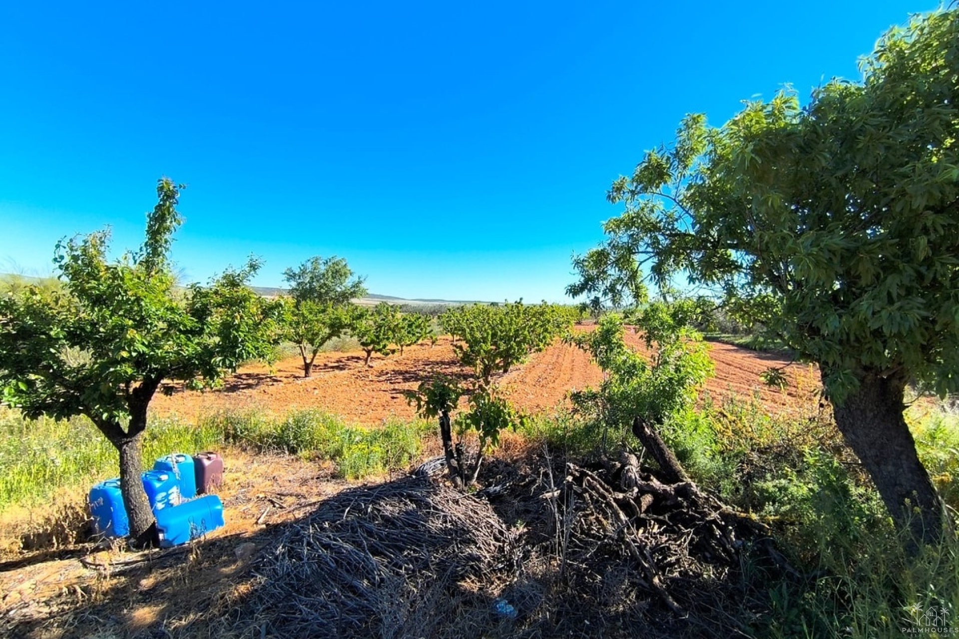 Herverkoop - Country house - Yecla - Yecla Centro