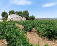 Herverkoop - Country house - Yecla - Yecla Centro