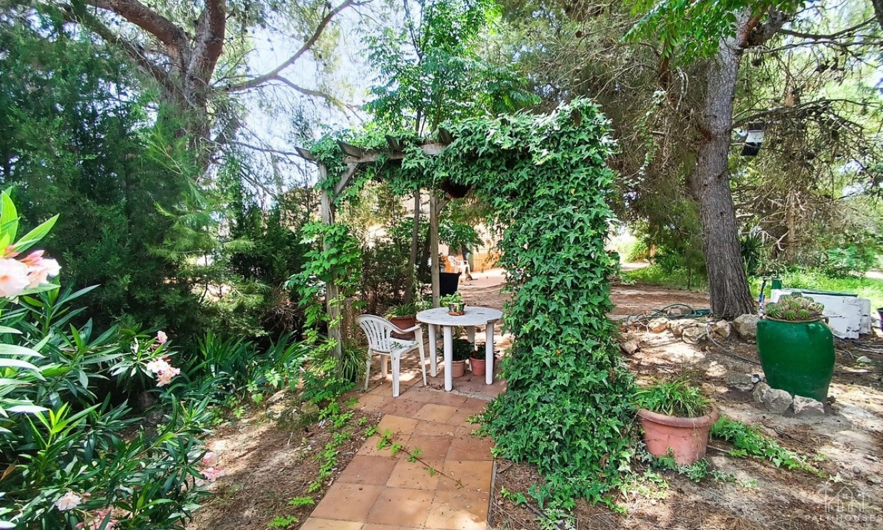 Herverkoop - Country house - Yecla - Yecla Centro