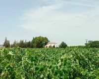 Herverkoop - Country house - Yecla - Yecla Centro