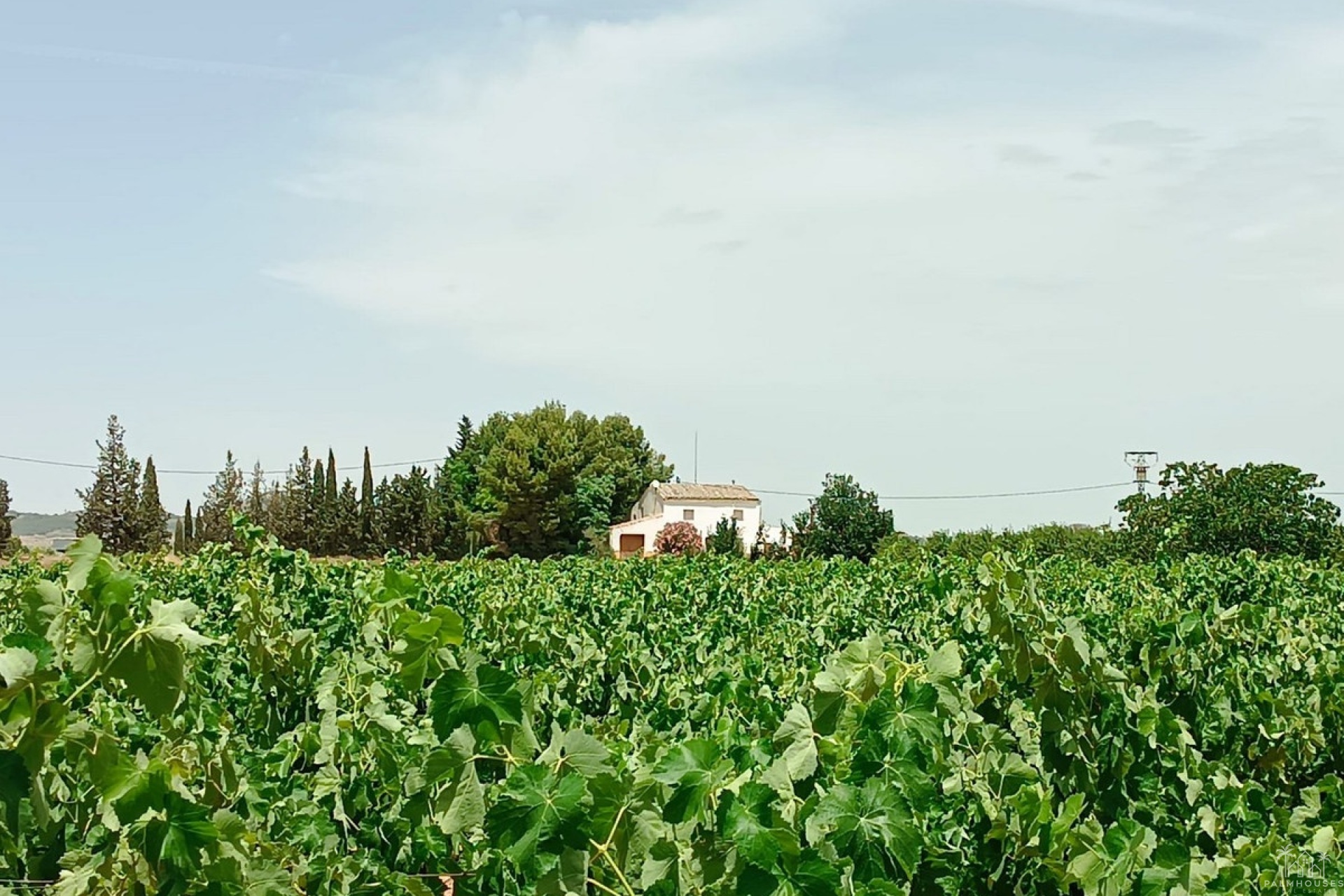 Herverkoop - Country house - Yecla - Yecla Centro