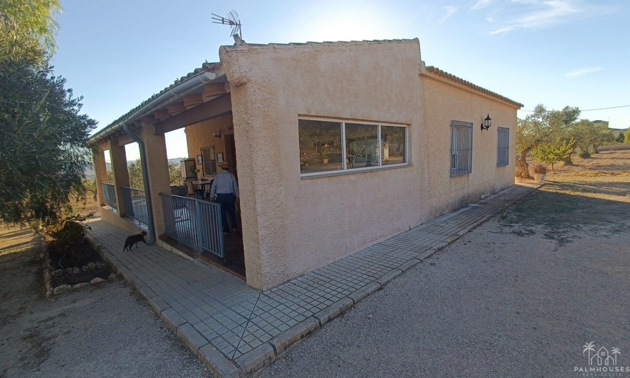 Herverkoop - Country house - Yecla - Yecla Centro