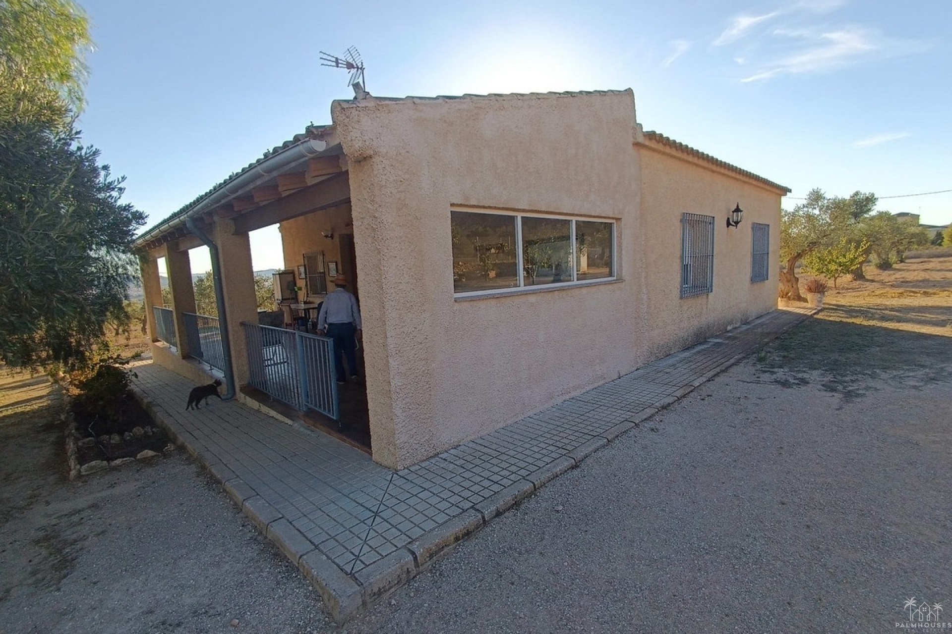 Herverkoop - Country house - Yecla - Yecla Centro