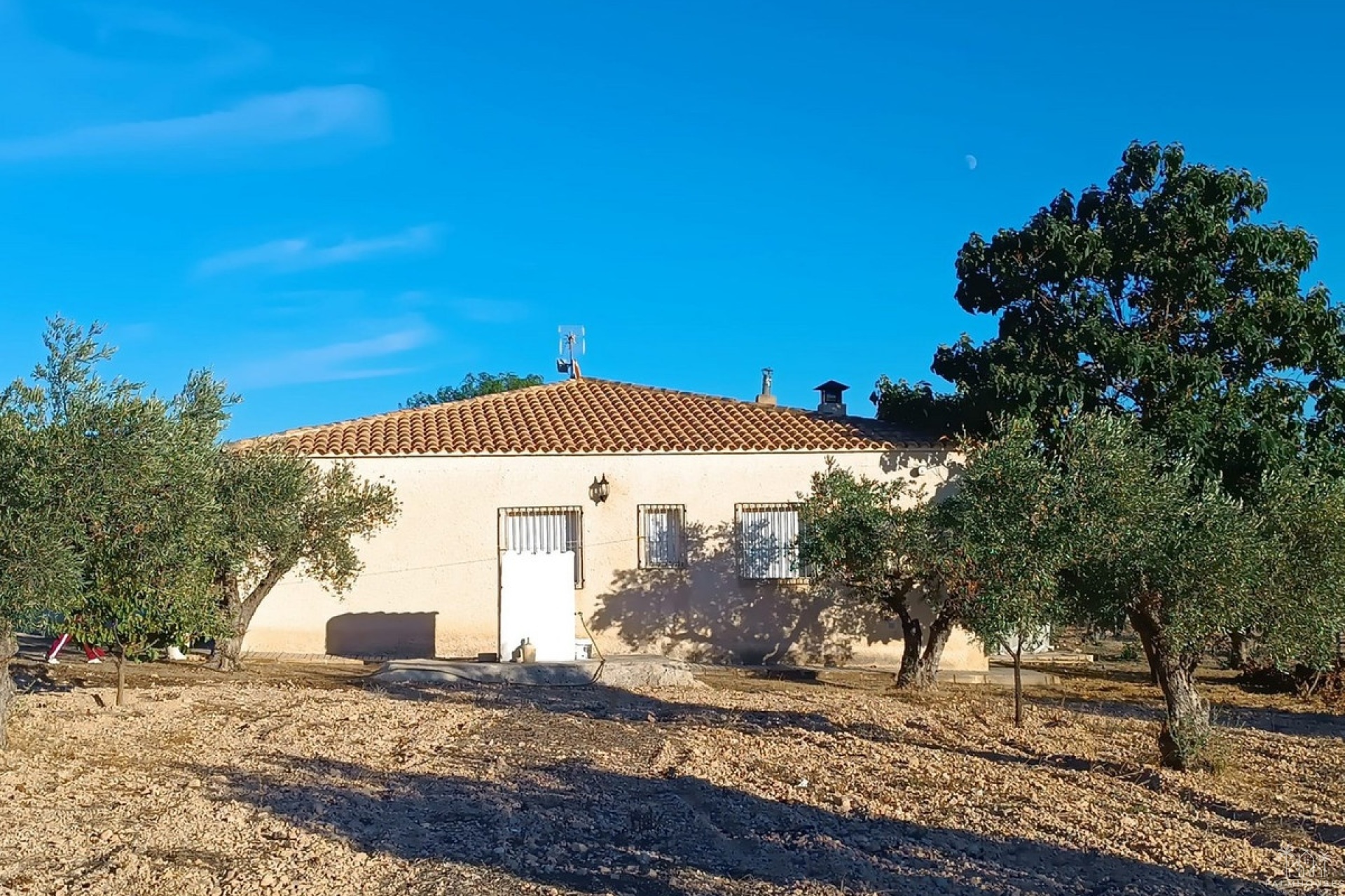 Herverkoop - Country house - Yecla - Yecla Centro