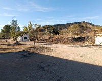 Herverkoop - Country house - Yecla - Yecla Centro