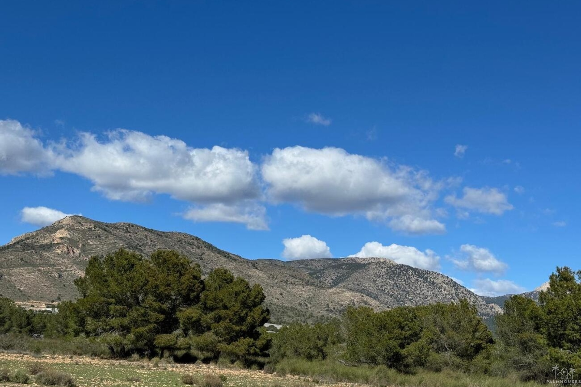 Herverkoop - Finca - Aledo - Other