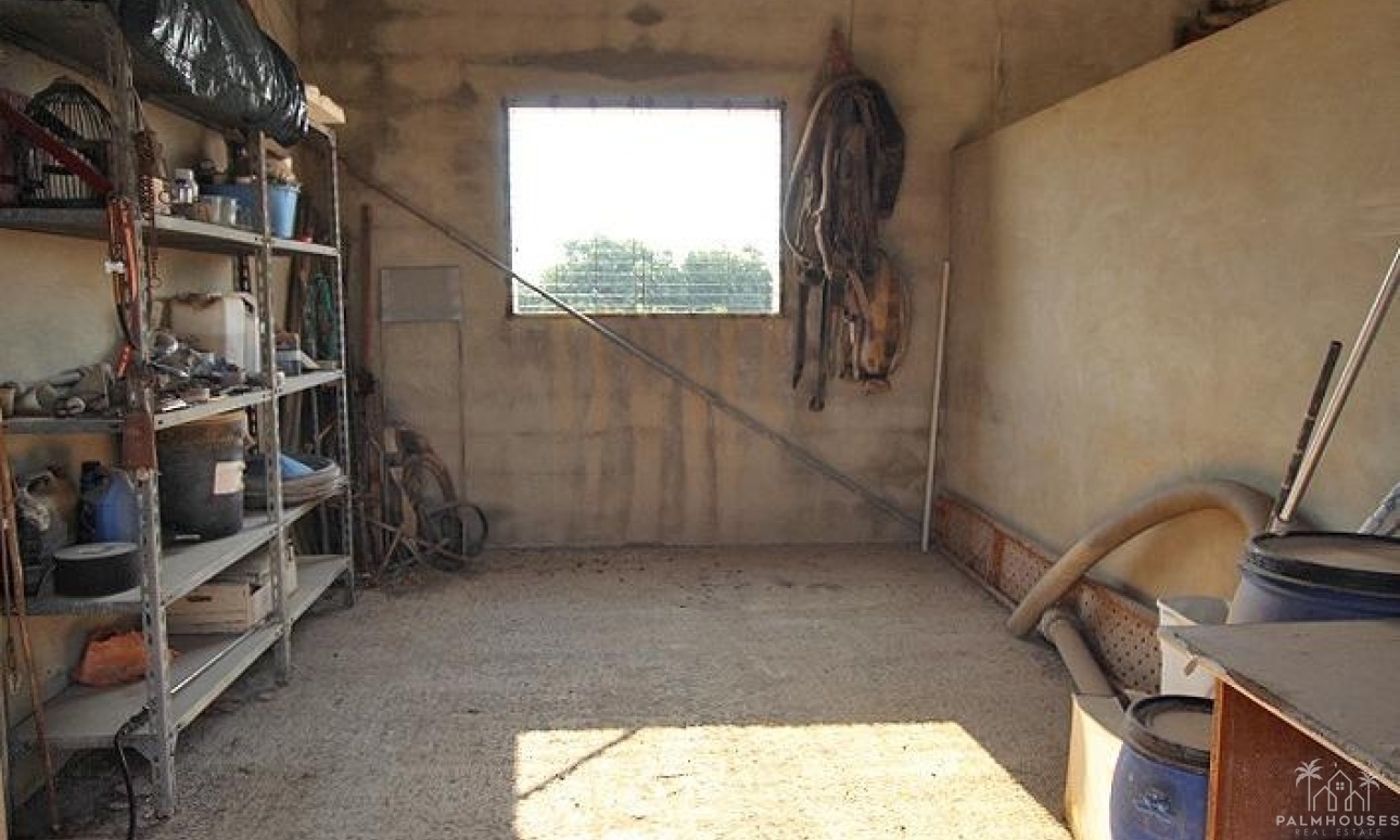 Herverkoop - Finca - Alicante - Comunidad Valenciana