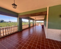 Herverkoop - Finca - Alicante - La Bodega