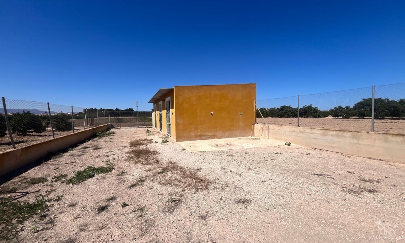 Herverkoop - Finca - Alicante - La Bodega