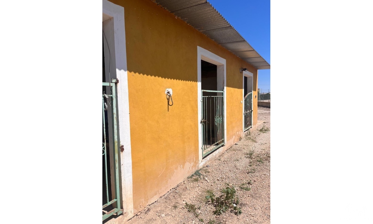 Herverkoop - Finca - Alicante - La Bodega